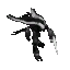 Dark Templar